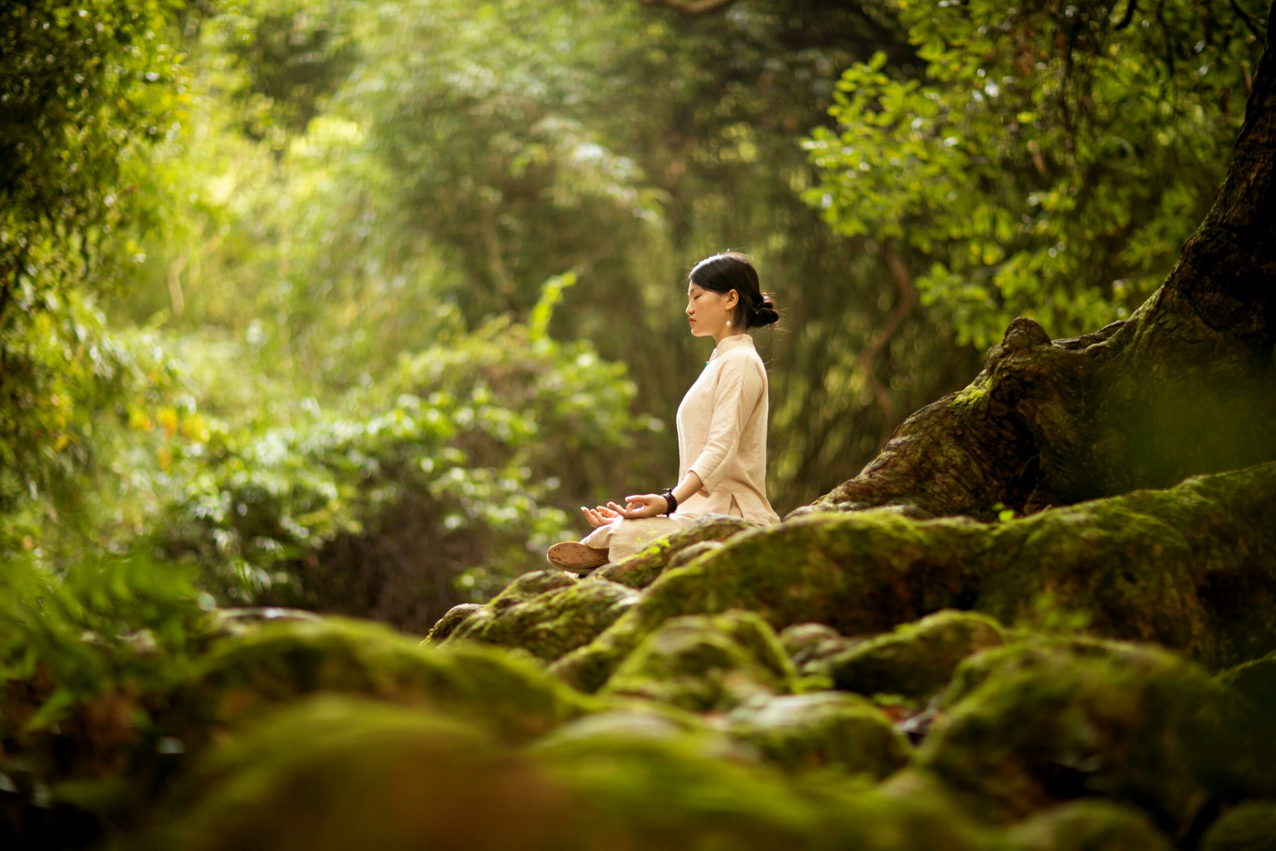 A woman standing in the middle of a green forest, surrounded by tall trees and sunlight filtering through the leaves.
